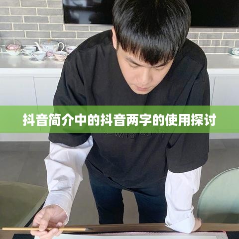 抖音简介中的抖音两字的使用探讨