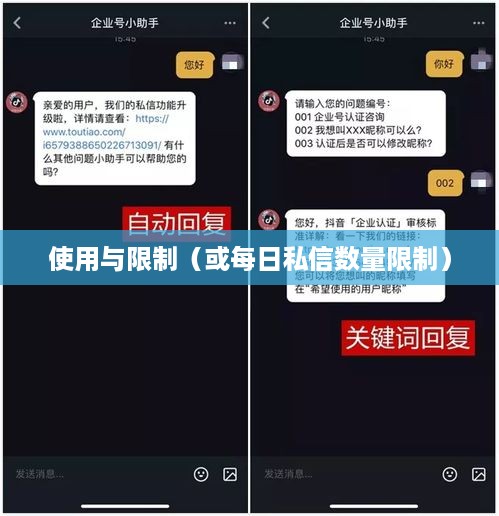 抖音私信功能的使用与限制，每天能否私信的问题探讨
