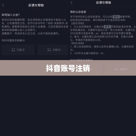 抖音账号注销后是否自动退回，深度解析与操作指南
