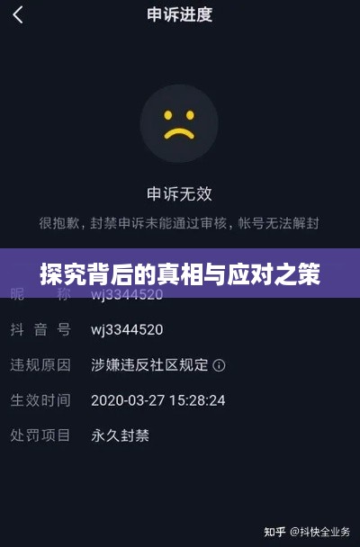 抖音被举报后抖音是否还能正常使用，探究背后的真相与应对之策
