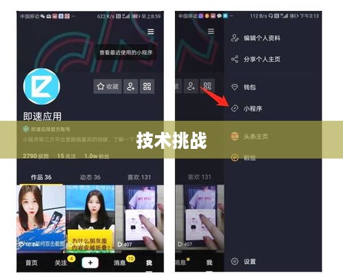 抖音App的制作难度，探究背后的技术与挑战