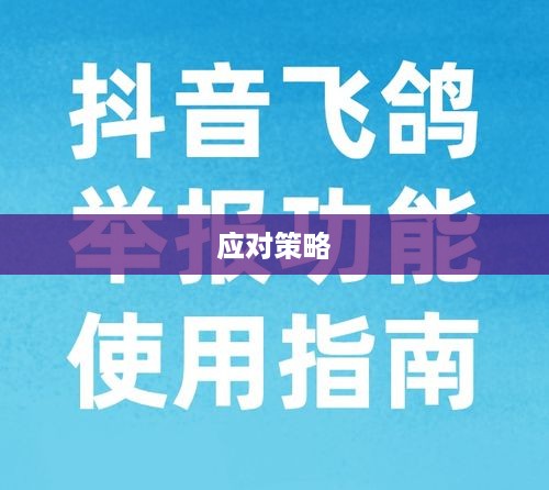 抖音被举报后的使用状况，能否正常使用及应对策略