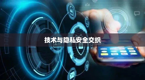 如何通过手机号查找抖音账号，技术、隐私与安全的交织