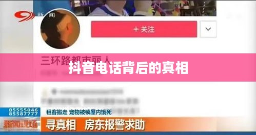揭秘抖音电话背后的真相，关于950511号码的真相解析