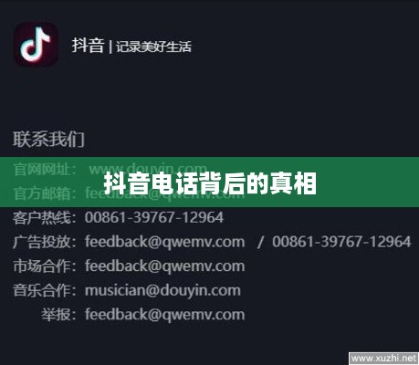 揭秘抖音电话背后的真相，关于950511号码的真相解析