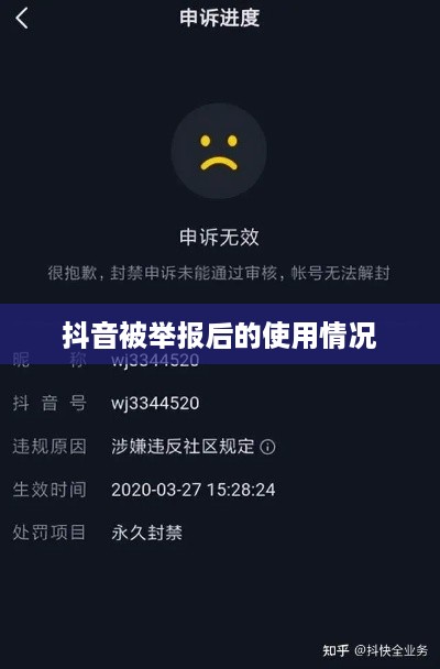 抖音被举报后抖音是否仍可以正常使用？探究背后的真相与应对之策