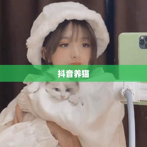抖音养猫行为违规吗？探究与解析