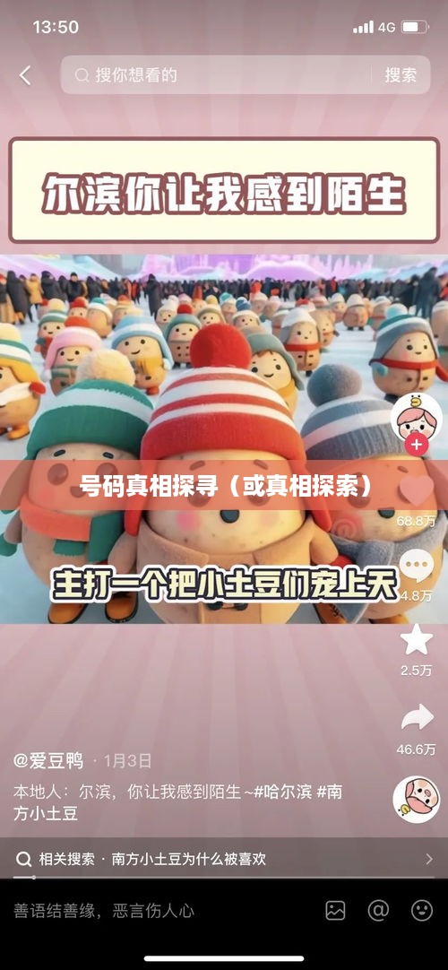 揭秘抖音电话，关于号码950511的真相探寻