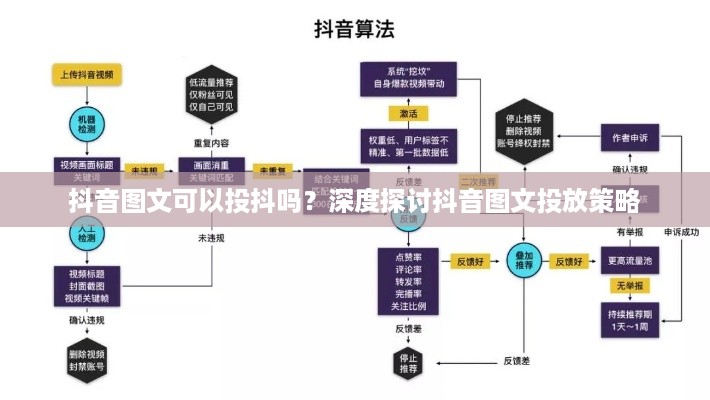 抖音图文可以投抖吗？深度探讨抖音图文投放策略