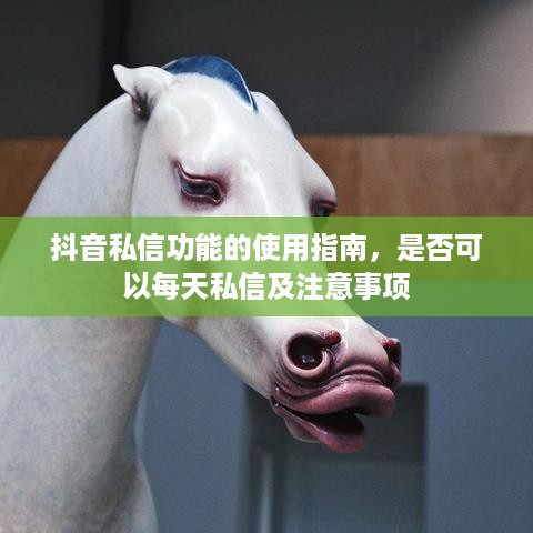 抖音私信功能的使用指南，是否可以每天私信及注意事项