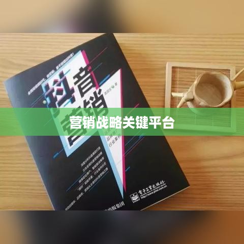 抖音推广的优势与挑战，为何选择抖音作为营销战略的关键平台？