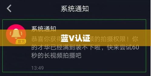 抖音KTV能否进行蓝V认证？解析与探讨