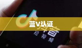 抖音KTV能否进行蓝V认证？解读与探讨