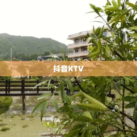 抖音KTV能否进行蓝V认证？解读与探讨