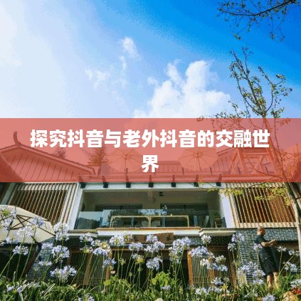 探究抖音与老外抖音的交融世界  第1张