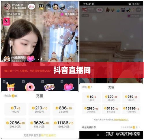 抖音直播间是否需要抖音币及其相关探讨