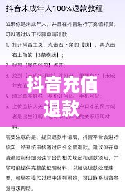 抖音充值能退吗？如何申请退款？详细指南