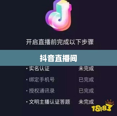 抖音直播间是否需要抖音币，深入解析与探讨
