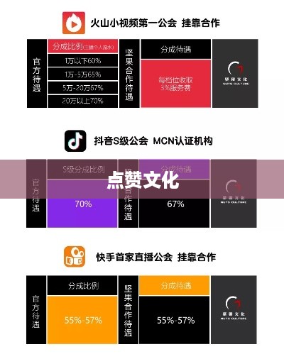 外国人眼中的抖音，点赞文化盛行