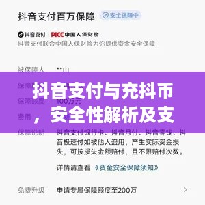 抖音支付与充抖币，安全性解析及支付方式的探讨