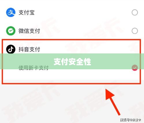 抖音支付与充抖币，支付安全性的探讨