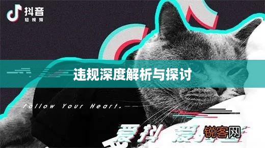 抖音养猫行为是否违规，深度解析与探讨