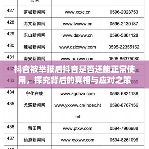 抖音被举报后抖音是否还能正常使用，探究背后的真相与应对之策