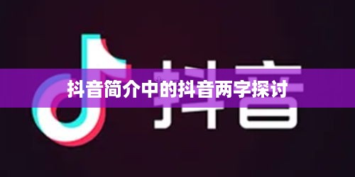 抖音简介中的抖音两字探讨