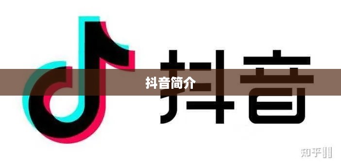抖音简介中能否使用抖音两字？解析与探讨