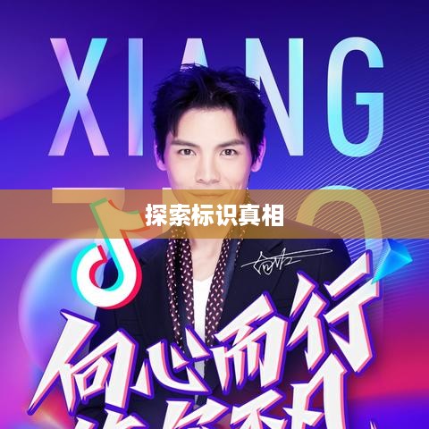 繁星计划与抖音官网，探索标识背后的真相