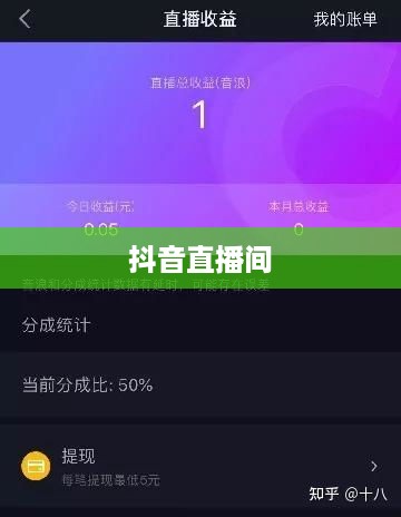 抖音直播间是否需要抖音币，深入探讨与解析