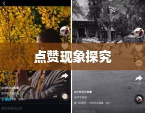 外国人看抖音点赞多的现象探究