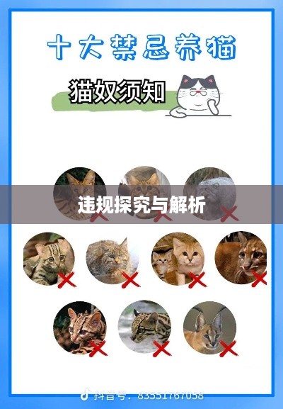 抖音养猫行为是否违规，探究与解析