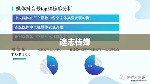 途志传媒在抖音平台上的可靠性分析