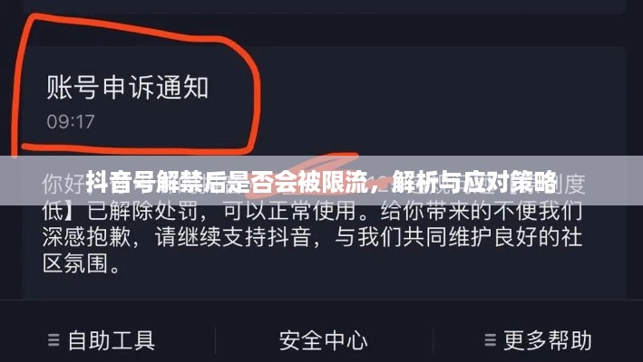 抖音号解禁后是否会被限流，解析与应对策略