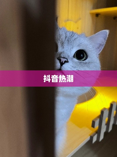 抖音上的躲猫猫热潮，一场全民参与的欢乐游戏