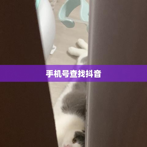手机号能否查找到抖音？解析定位技术与隐私保护之间的微妙平衡