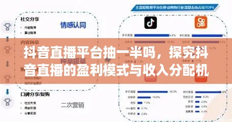 抖音直播平台抽一半吗，探究抖音直播的盈利模式与收入分配机制