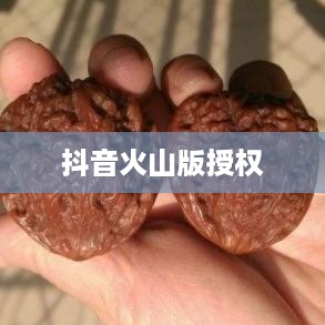 抖音与抖音火山版，授权的可能性探讨