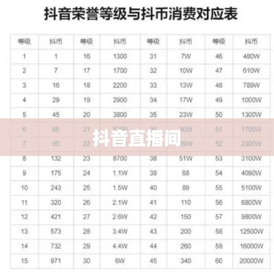 抖音直播间是否需要抖音币，深度解析