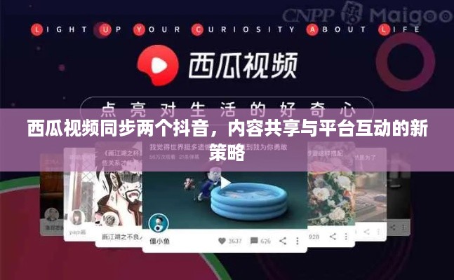 西瓜视频同步两个抖音，内容共享与平台互动的新策略