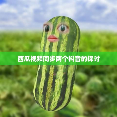 西瓜视频同步两个抖音的探讨