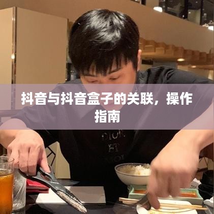 抖音与抖音盒子的关联，操作指南
