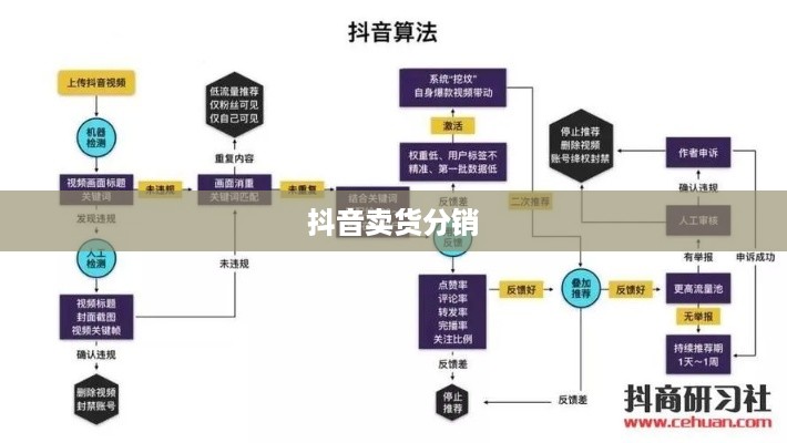 抖音卖货分销，赚钱的新途径