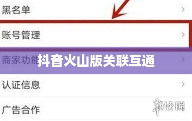 抖音账号与抖音火山版的关联互通探讨