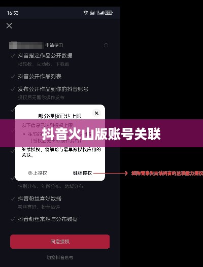抖音账号与抖音火山版账号关联的可能性探讨