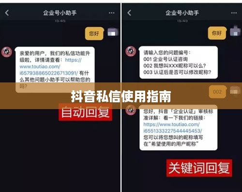 抖音私信使用指南，是否可以每天私信及注意事项
