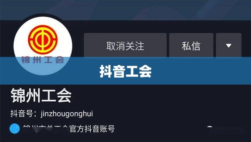 抖音工会是否需要提供姓名，探讨与解析