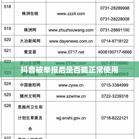 抖音被举报后抖音是否还能正常使用，探究背后的真相与应对之策