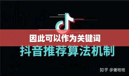 抖管家与抖音，一场关于旗下的深度探讨